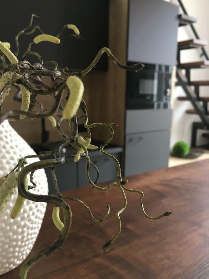 Goodmood Apartment ديبريتْسين المظهر الخارجي الصورة
